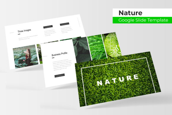 Nature Google Slide Template: A Fresh Take on Visual Storytelling